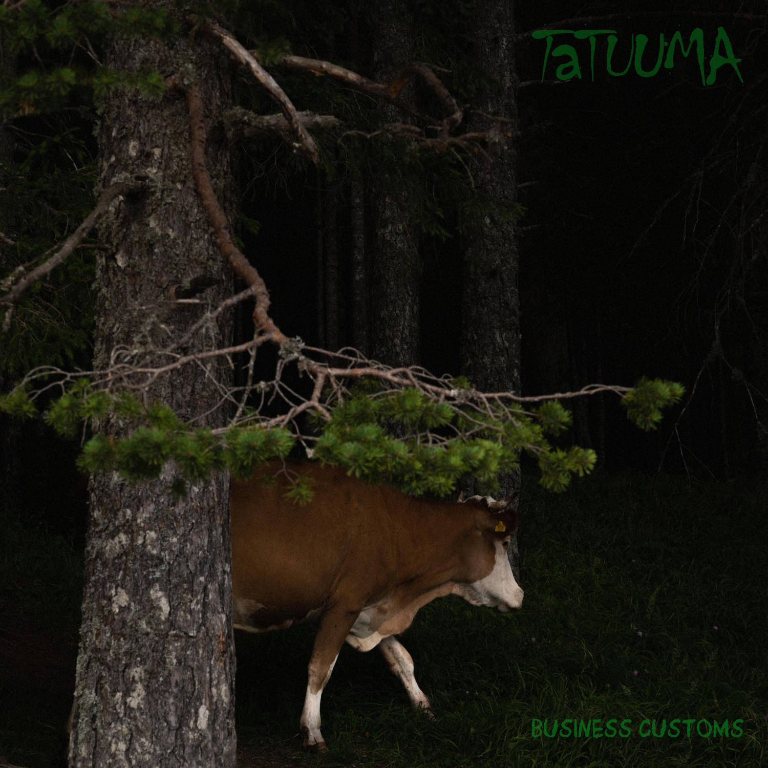 Tatuuma — Business Customs (2024)
