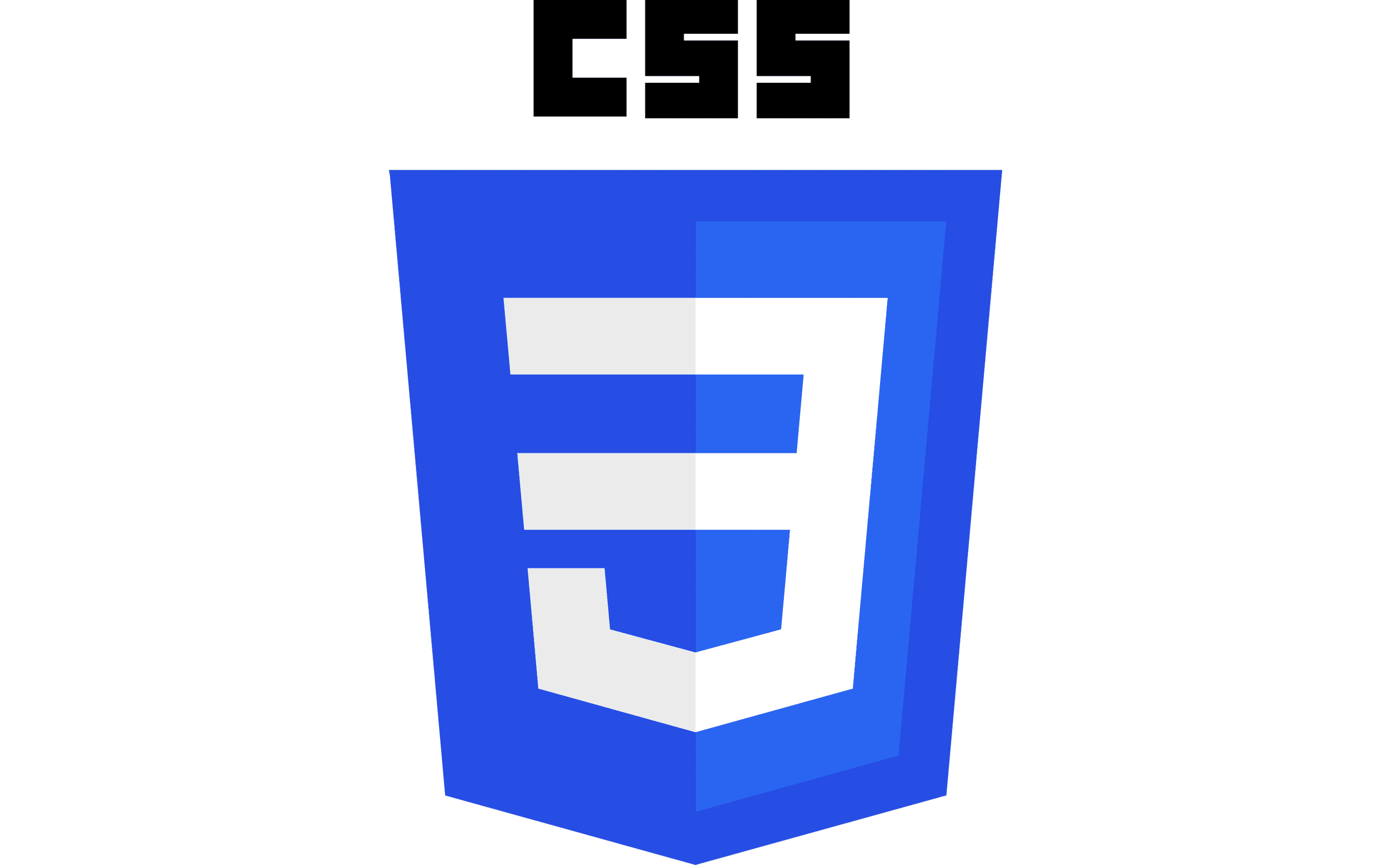 CSS Logo